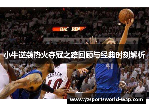 小牛逆袭热火夺冠之路回顾与经典时刻解析